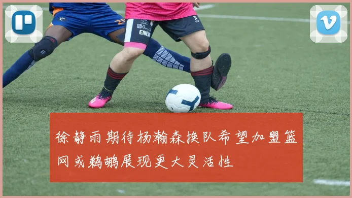 徐静雨期待杨瀚森换队希望加盟篮网或鹈鹕展现更大灵活性