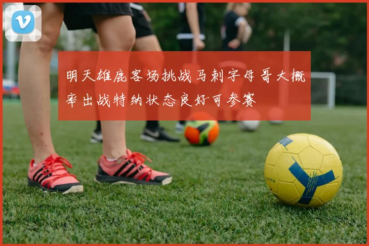明天雄鹿客场挑战马刺字母哥大概率出战特纳状态良好可参赛